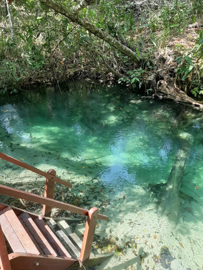 Pousada De Charme Formiga Ecolodge Mateiros エクステリア 写真
